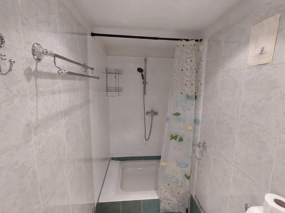 Boheme Central Apartment Τιμισοάρα Εξωτερικό φωτογραφία