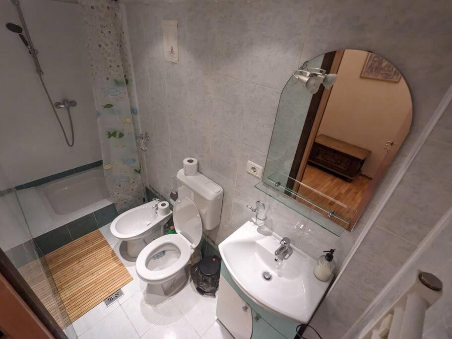 Boheme Central Apartment Τιμισοάρα Εξωτερικό φωτογραφία